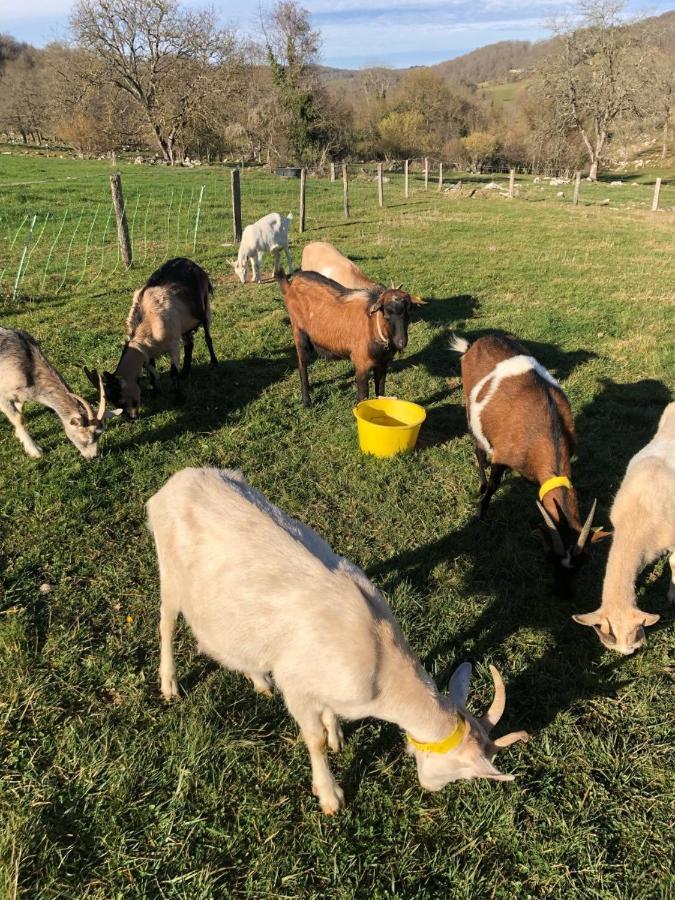 Chambre Familiale A La Ferme Montesquieu-Avantes Bagian luar foto